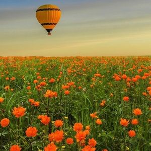 Meet your Posher, Wendy